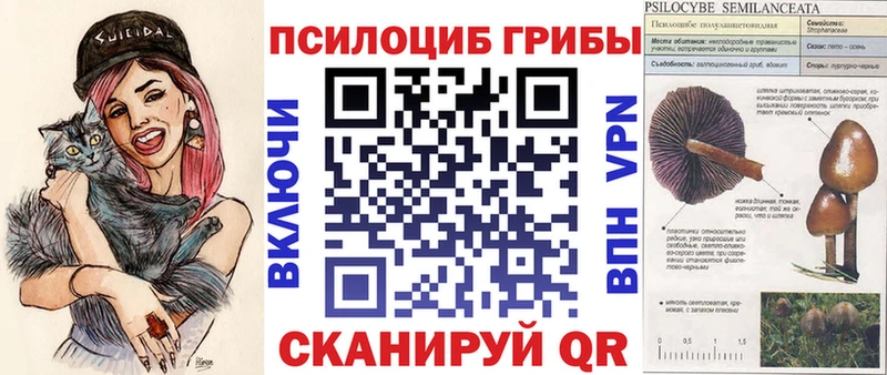 OMG рабочий сайт Алейск Псилоцибиновые грибы мицелий