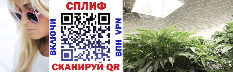 МАРИХУАНА SATIVA & INDICA Алейск